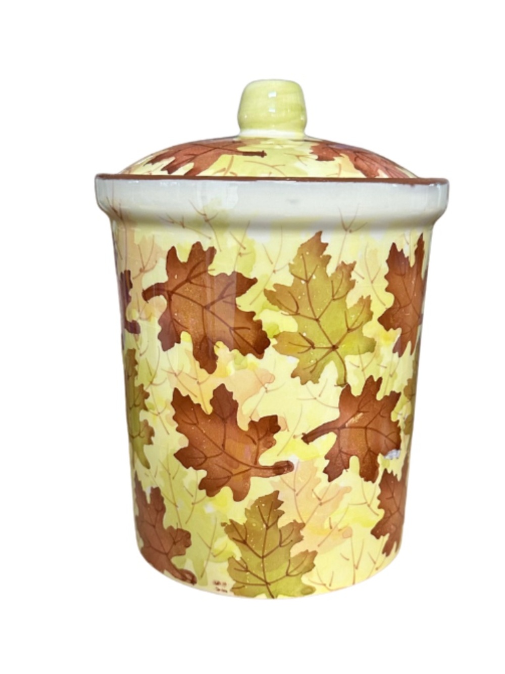 Pier 1 Imports Autumn Leaf Stoneware Canister with Lid